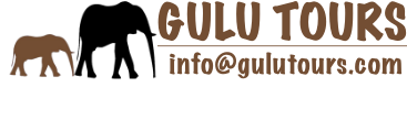 Gulu Tours